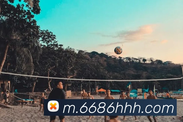 6686APP 封面图